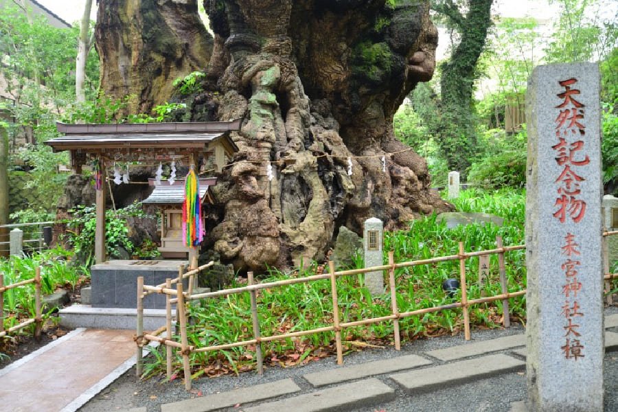 來宮神社-03