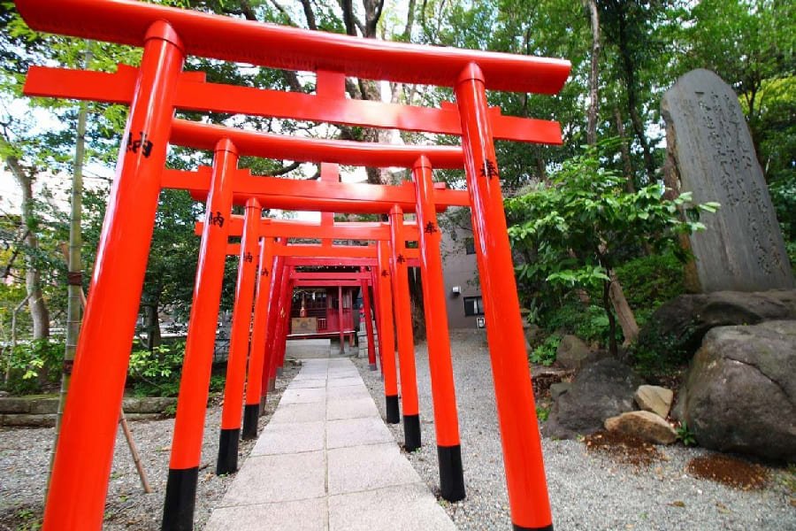 來宮神社-04