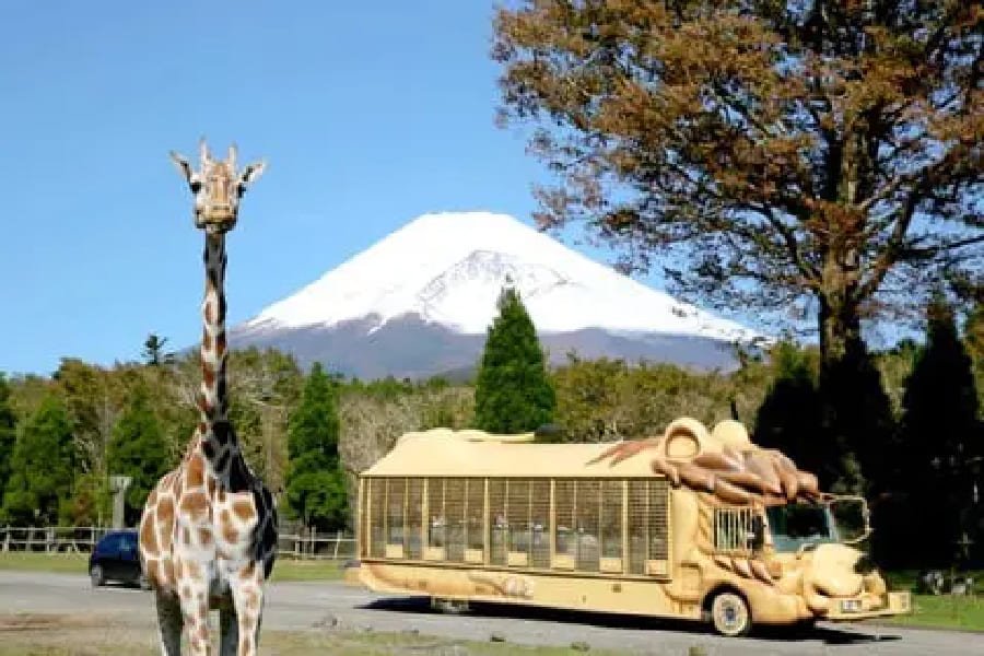 富士野生動物園-01
