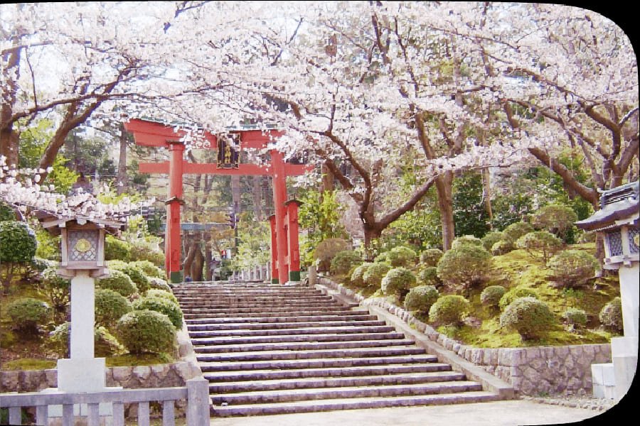 彌彥山-04