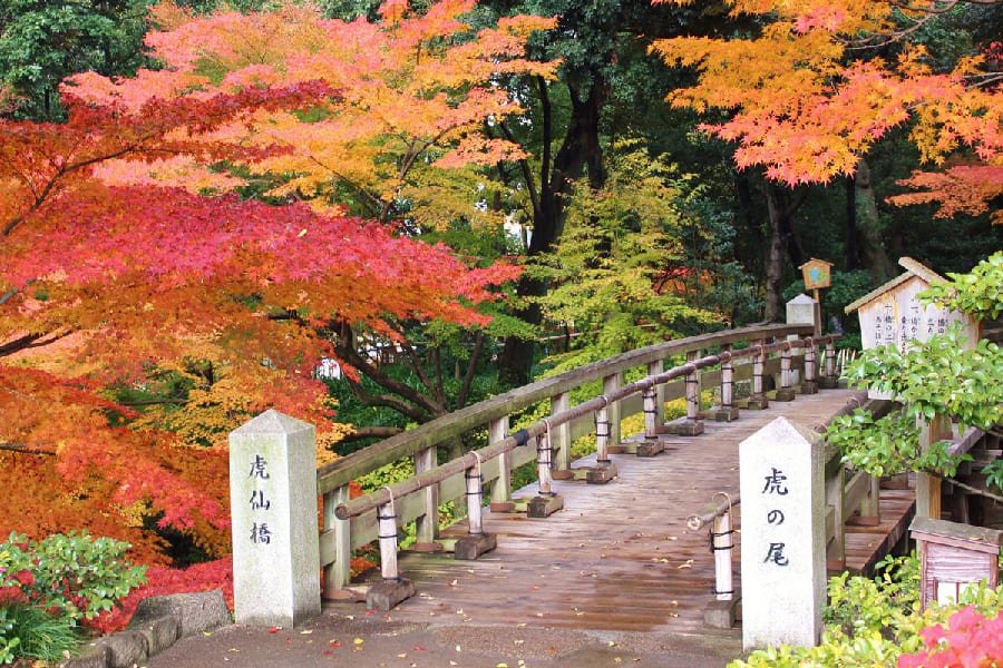 德川園-01