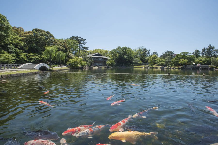 德川園-04