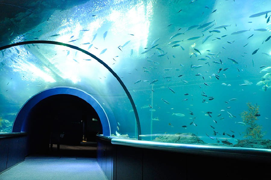 新潟市水族館-02