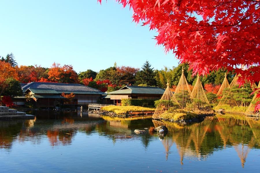 白鳥庭園-01