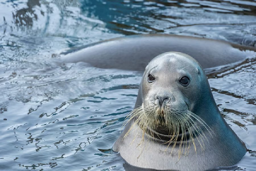 札幌太陽廣場水族館-04