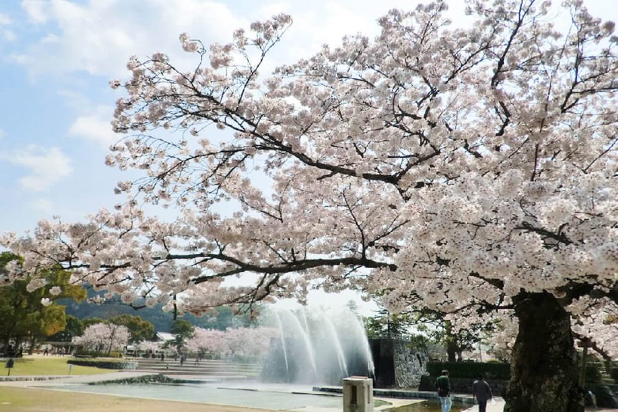 吉香公園-02