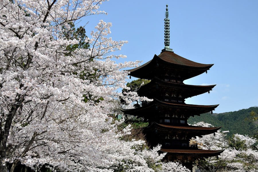 瑠璃光寺五重塔-03