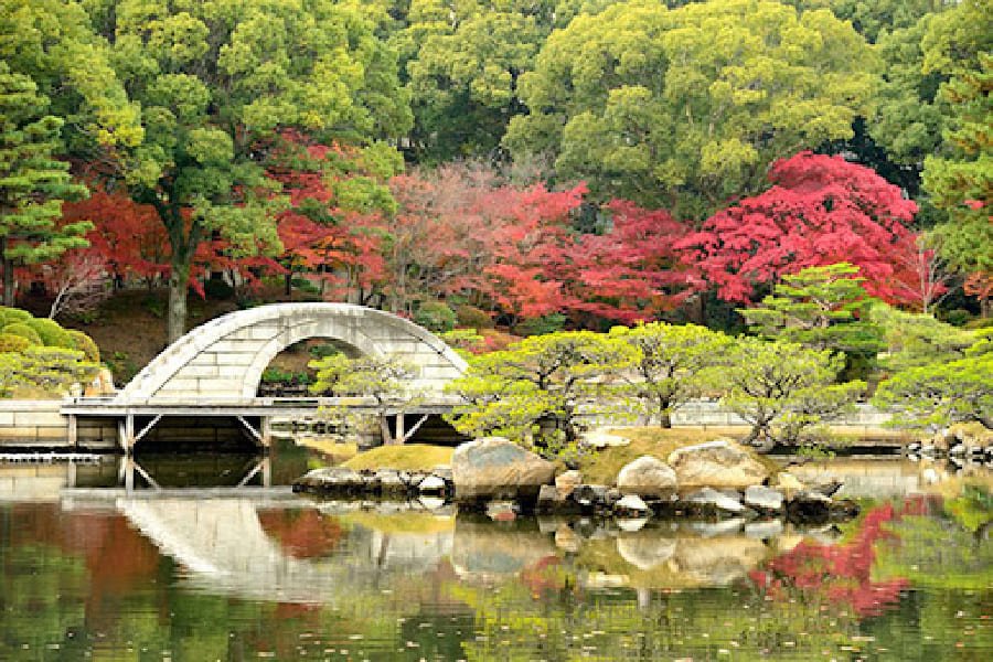 縮景園-02