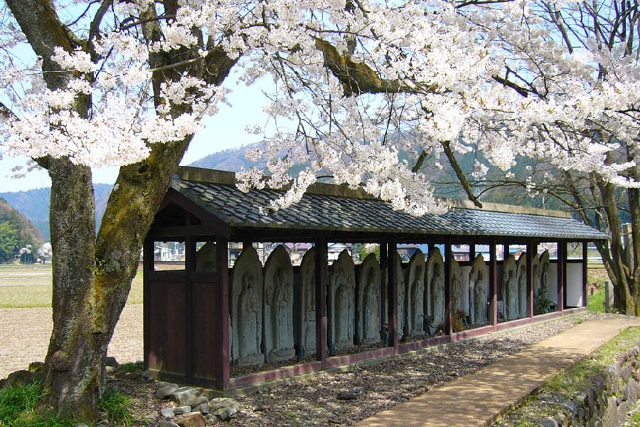 一乘谷朝倉氏遺跡-01
