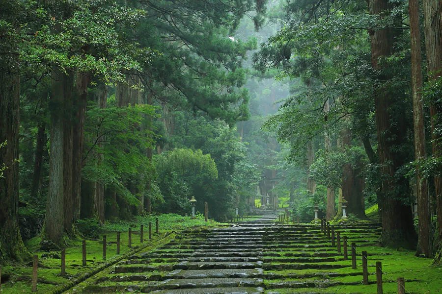 平泉寺白山神社-02