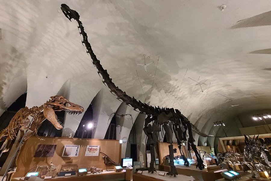福井縣立恐龍博物館-03