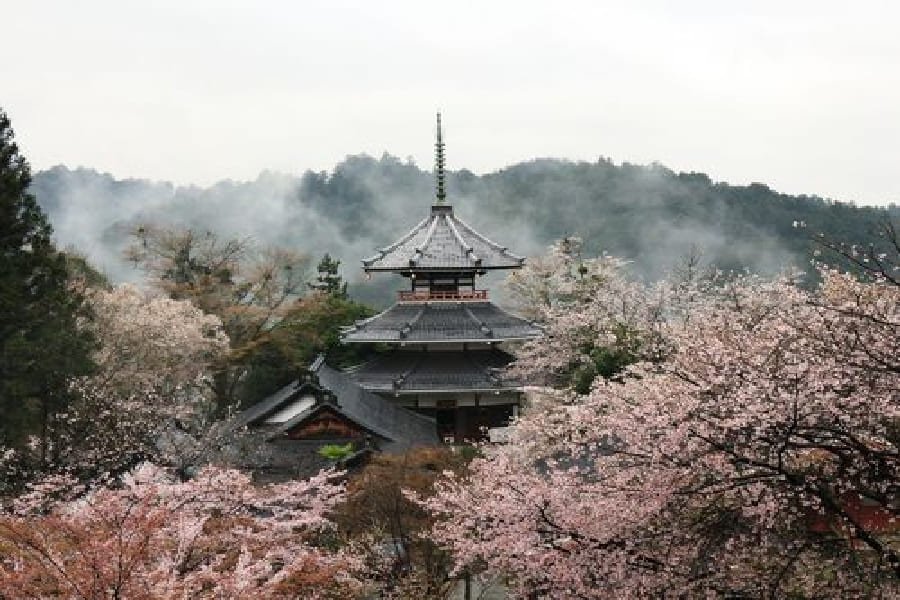 金峯山寺-02