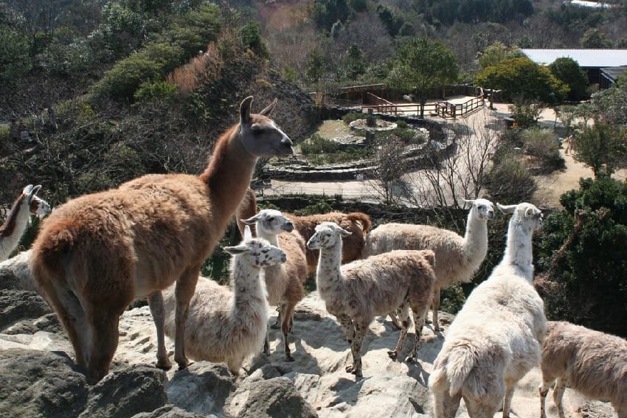 長崎生物公園-03