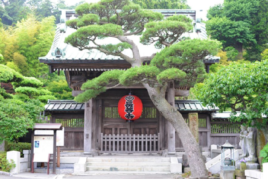 長谷寺-02
