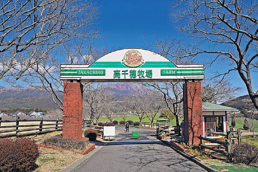 高千穗牧場-03