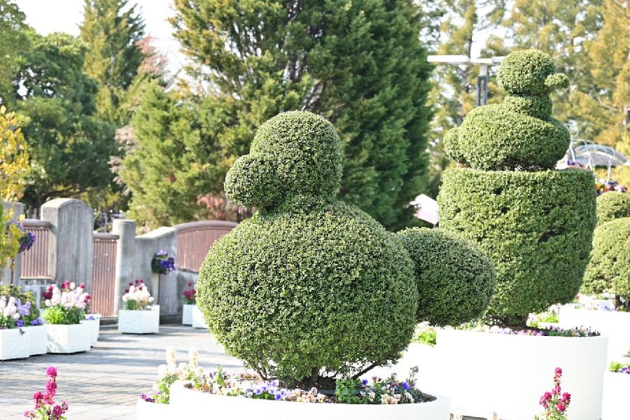 宇治市植物公園-04