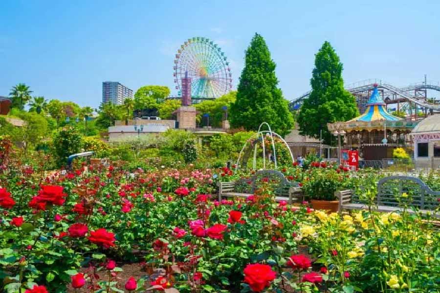 枚方公園-04