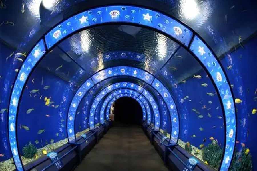 海遊館-03