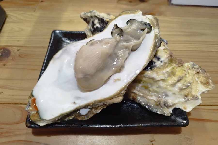 魚處壹屋-01