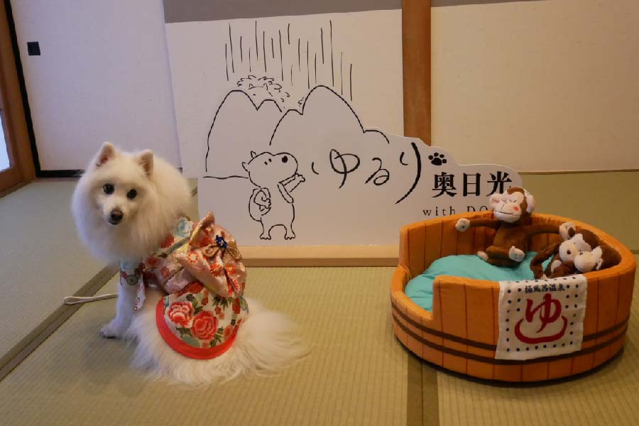 ゆるり奥日光with Dogs-02