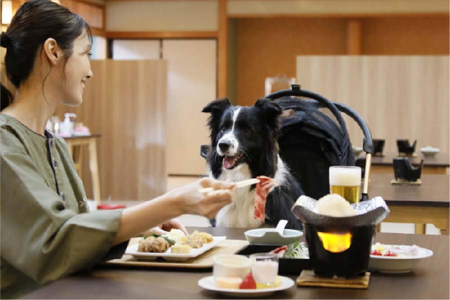 ゆるり奥日光with Dogs-06