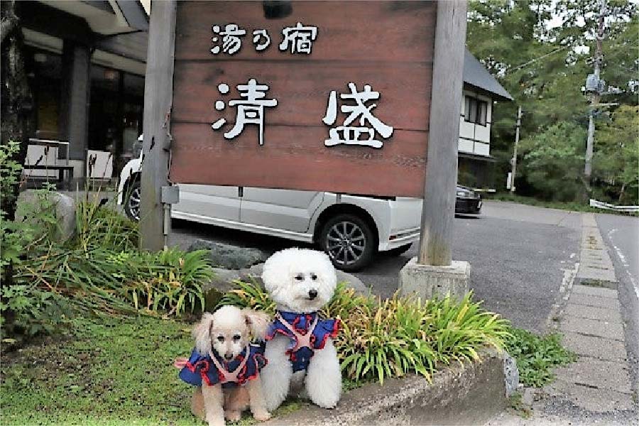 湯乃宿 清盛-01